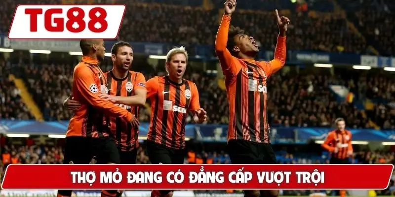 Shakhtar Donetsk: Kèo Shakhtar Donetsk Và Tin Tức Tại TG88 - BORIX