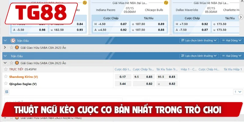 Cá Cược Bóng Rổ Tại TG88 – Thử Thách Mới Cho Cược Thủ - BORIX
