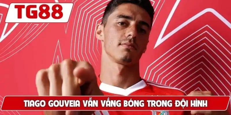 Benfica: Cập Nhật Kèo Cược Benfica FC Tại TG88 Hôm Nay - BORIX Benfica: Cập Nhật Kèo Cược Benfica FC Tại TG88 Hôm Nay - BORIX