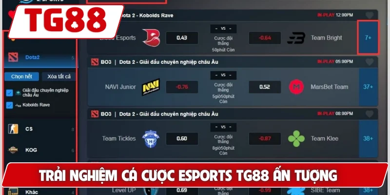 Cá Cược Esports Tại TG88 – Cơ Hội Thắng Lớn Mỗi Ngày - BORIX