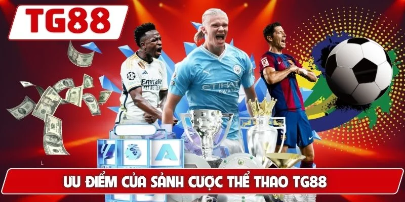 Cá Cược Thể Thao Trực Tuyến Đỉnh Cao Siêu Hấp Dẫn Tại TG88 - BORIX