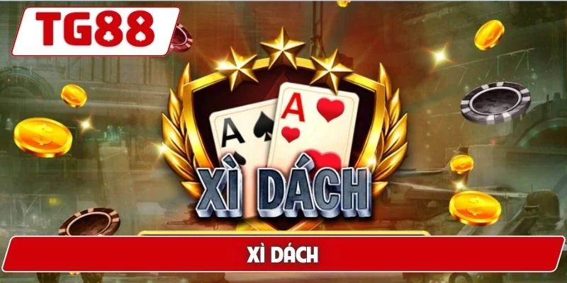 Chơi Game Bài Đổi Thưởng Tại Trang TG88 Đặc Sắc Tỷ Lệ Ăn Cao - BORIX