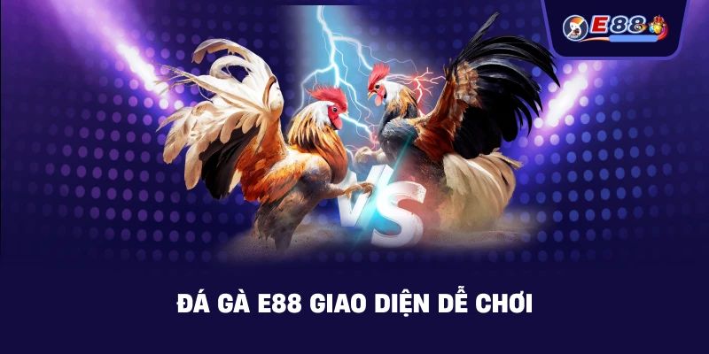 Đá Gà E88: Trải Nghiệm Cược Trực Tuyến Sắc Nét 2026 - BORIX