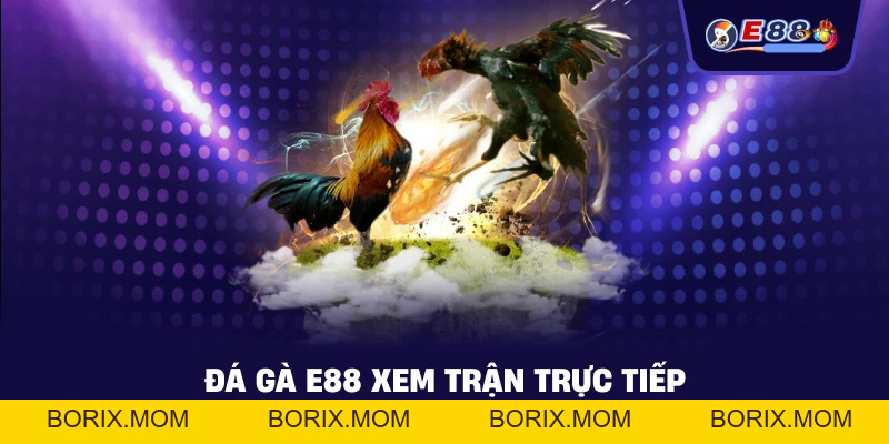 Đá Gà E88: Trải Nghiệm Cược Trực Tuyến Sắc Nét 2026 - BORIX
