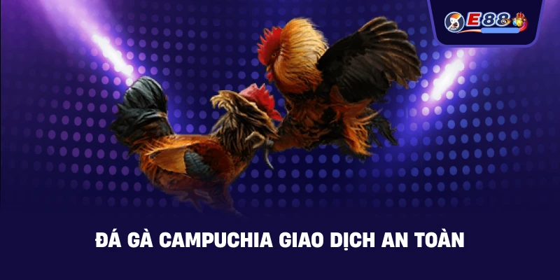 Đá gà Campuchia – Trực tiếp kịch tính 2026 - BORIX