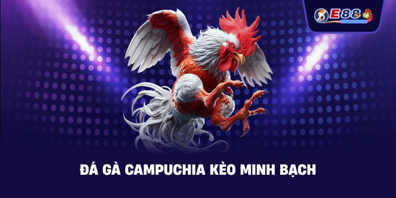 Đá gà Campuchia – Trực tiếp kịch tính 2026 - BORIX