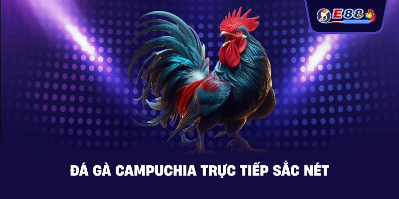 Đá gà Campuchia – Trực tiếp kịch tính 2026 - BORIX