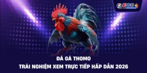 Đá Gà E88: Trải Nghiệm Cược Trực Tuyến Sắc Nét 2026 - BORIX