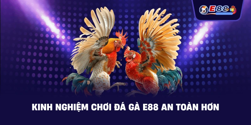 Đá Gà E88: Trải Nghiệm Cược Trực Tuyến Sắc Nét 2026 - BORIX